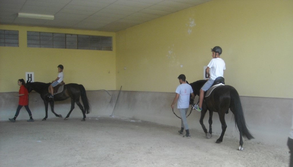Equitação